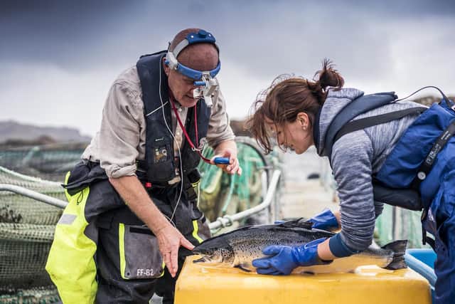 In total, 268 publicly supported projects worth more than £183m have been delivered since 2018 by salmon producers, supply chain businesses, universities and public funders working in partnership, according to the report.