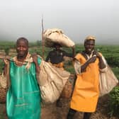 Smallholder tea farmers working close to the Mulindi tea factory, which will now be totally run and controlled by those who grow the crop after Scots oil tycoon Sir Ian Wood handed over his shares in the plant. PIC: A Campsie.