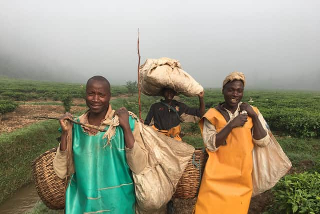 Smallholder tea farmers working close to the Mulindi tea factory, which will now be totally run and controlled by those who grow the crop after Scots oil tycoon Sir Ian Wood handed over his shares in the plant. PIC: A Campsie.