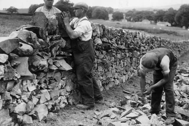 10th July 1936:  Mr McLaughlan of Dalry is a master of the art of dry stone dyke building and is the last member of his family to carry on the trade. Unfortunately dry stone walls are fast being replaced by wire netting.  (Photo by Fox Photos/Getty Images)