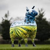 Home Sweet Home by Gillian Robb sponsored by Food Standards Scotland