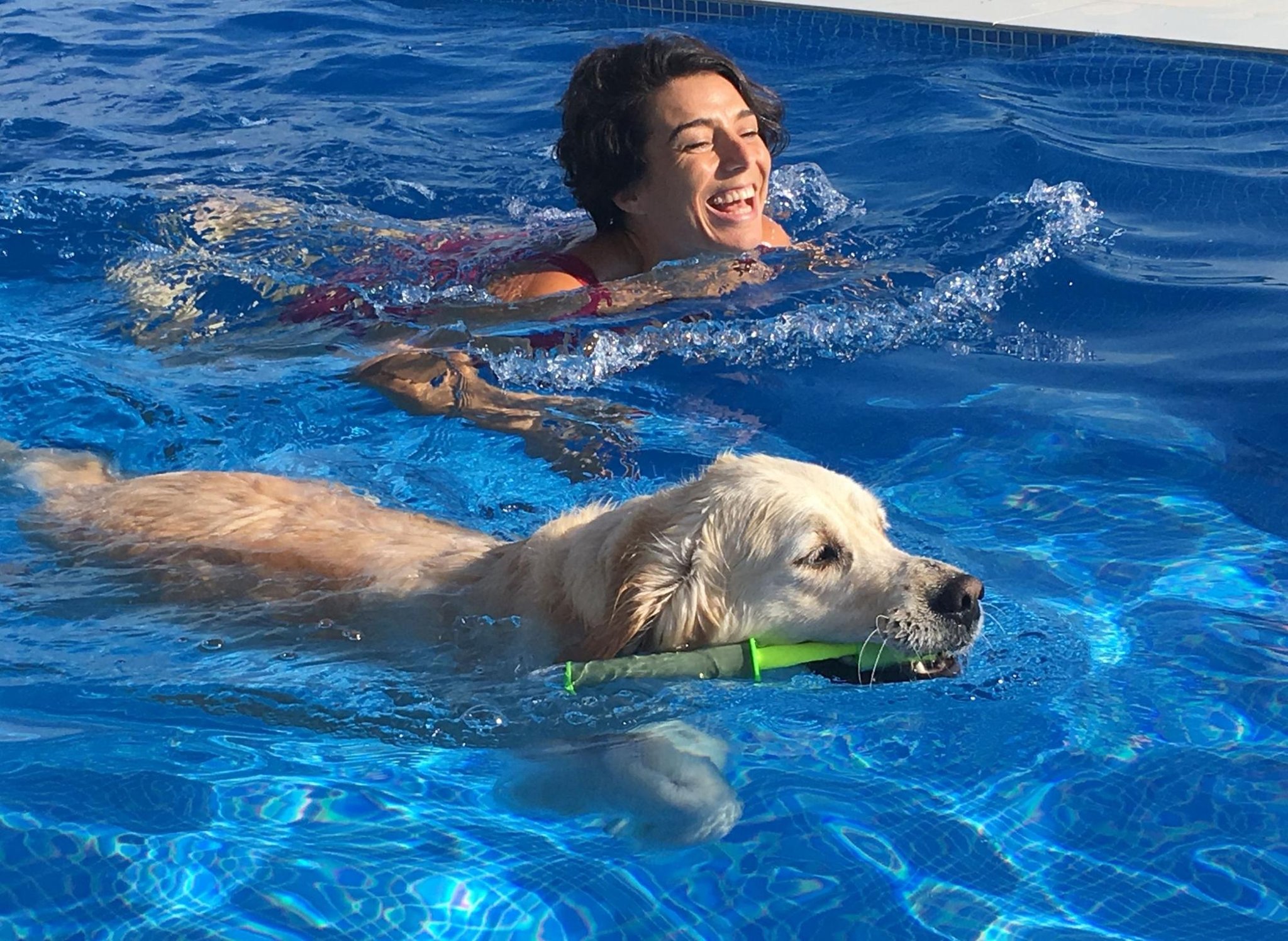 Can they swim