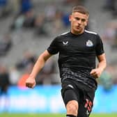 NEWCASTLE UPON TYNE, ENGLAND - SEPTEMBER 16: Harvey Barnes of Newcastle United warms up prior to the Premier League match between Newcastle United and Brentford FC at St. James Park on September 16, 2023 in Newcastle upon Tyne, England. (Photo by Stu Forster/Getty Images)