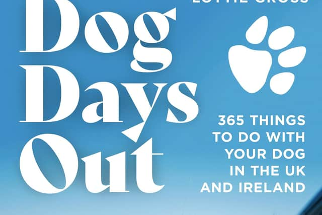 Dog Days Out book jacket