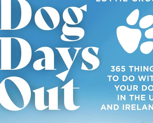 Dog Days Out book jacket