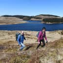 The power of nature to help rejuvenate our well-being means it is important that we all have access to it (Picture: John Devlin)