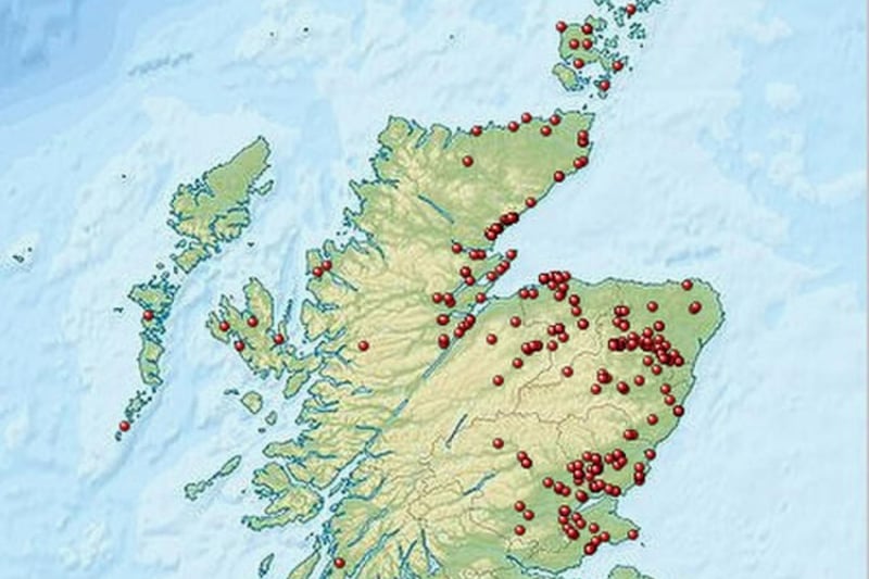There is a wealth of evidence to support that Pictish tribes lived alongside the coast of the regions we now refer to as northern England and southern Scotland, and this geographical detail explains their relationship with the water as sailors. By way of their sailing abilities, the Picts forged alliances with other tribes in Europe against the Romans.