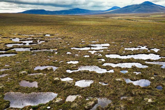 The Flow Country has been named as a World Heritage site (Picture: Jeff J Mitchell/Getty Images)