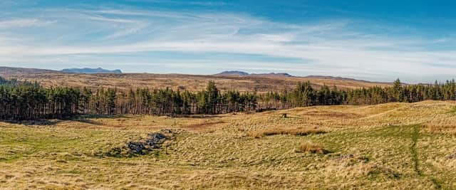 Land at the village of Rosal, which was emptied of its population during the Highland Clearances, with the outlines of the homes and outhouses still visible in the ground. PIC: geograph.org/Valenta