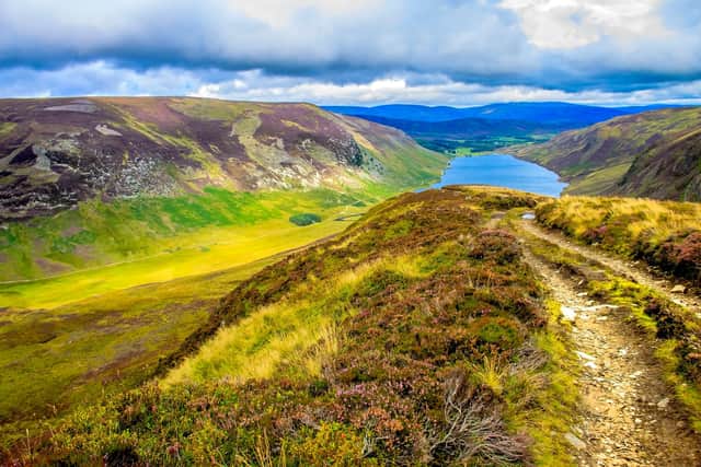 Cairngorms national Park is one of just two national parks in Scotland, but there are plans to designate "at least one" more in the next four years