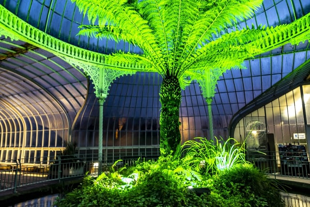 The Kibble Palace lit up green