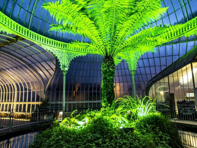 The Kibble Palace lit up green