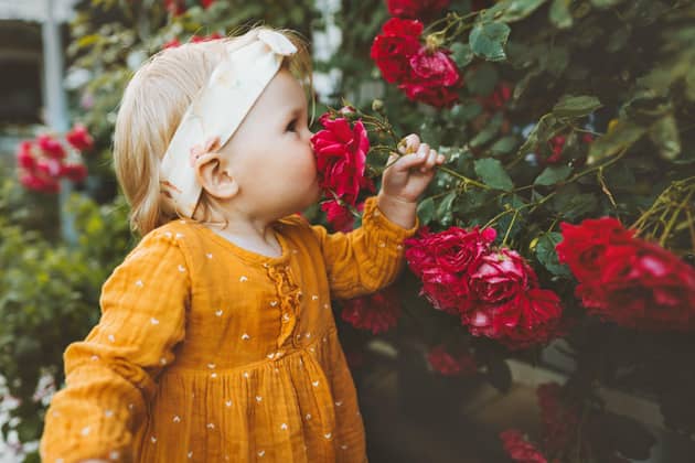 Baby smelling the roses Pic: EVERST/Adobe