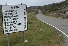Tha a’ Ghàidhlig 'aig crois rathaid riatanach'