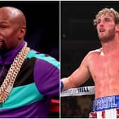 Floyd Mayweather has confirmed his exhibition fight with Logan Paul will go ahead in 2021. (Pic: Getty)