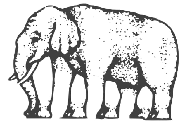 A variant of Roger Shepard's "L'egsistential paradox", this elephant illusion and the question of how many legs it really has has confounded people for centuries