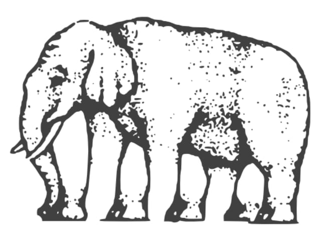 A variant of Roger Shepard's "L'egsistential paradox", this elephant illusion and the question of how many legs it really has has confounded people for centuries