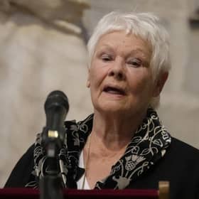 Dame Judi Dench, who has called for a disclaimer to be added to each episode of The Crown, saying the hit Netflix drama has begun to verge on "crude sensationalism".