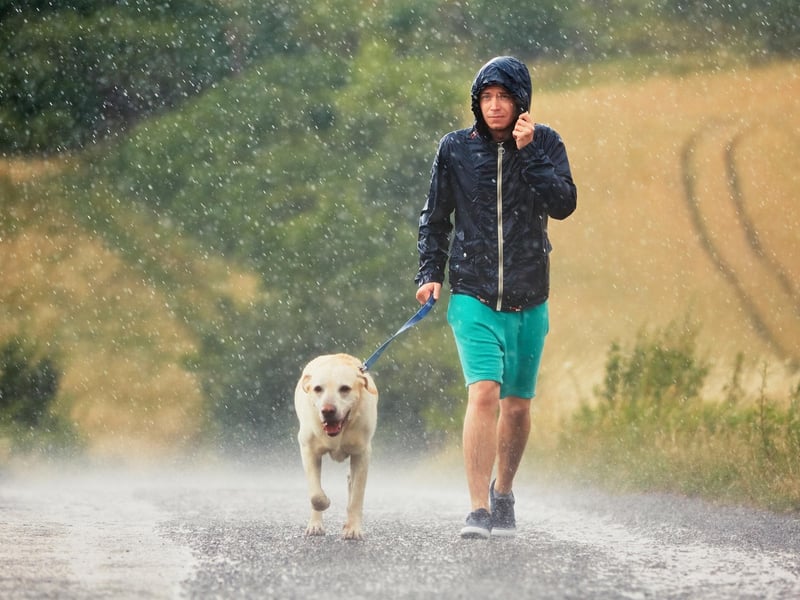 Unlike a greetie, a pish-oot is when the rain is coming down in an intense downpour e.g., "it's pishing it doon!"