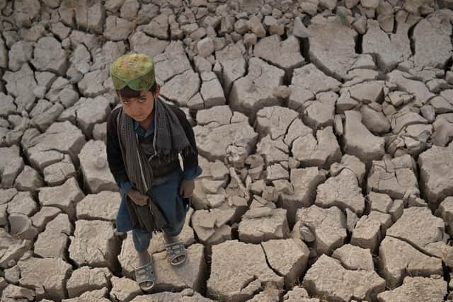 Droughts like this one in Bala Murghab, Afghanistan, in 2021 can force people to leave their homes (Picture: Hoshang Hashimi/AFP via Getty Images)