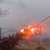 The trees caught fire when making contact with the power lines.