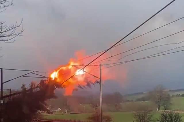The trees caught fire when making contact with the power lines.