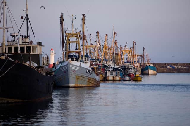 A new report calls for the UK's fishing industry to become 'climate-smart' to help boost fish stocks, futureproof livelihoods and battle global warming