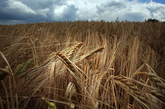 Gaining the best return from valuable nutrients will require more attention than normal to spreader calibration. (Photo by Christopher Furlong/Getty Images)