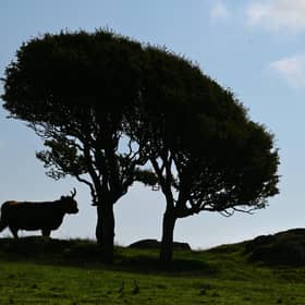 NFU Scotland has appointed new chief executive John Davidson who will start the post in June this year