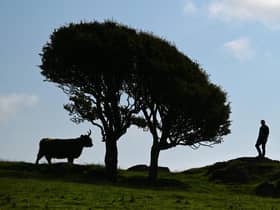NFU Scotland has appointed new chief executive John Davidson who will start the post in June this year