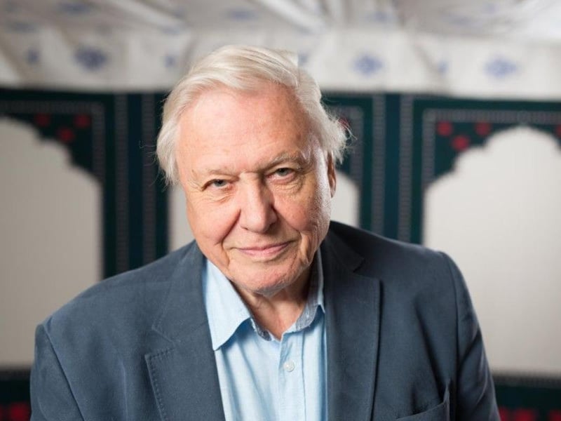 “I don’t think we are going to become extinct. We are very clever and very resourceful.”