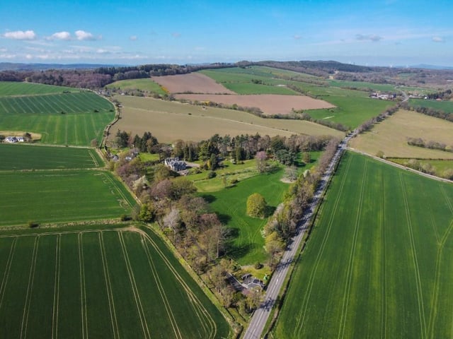 Aerial view of estate.