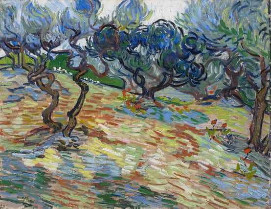 Olive Trees, by Vincent van Gogh PIC: Graeme Yule / National Galleries of Scotland