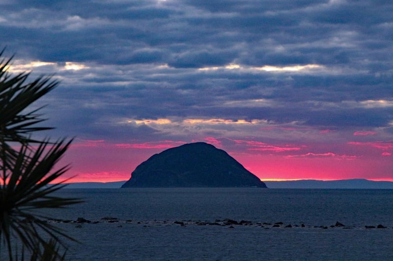 Ailsa Craig or “Paddy’s Milestone” is an island that rests approximately halfway in the sea between Glasgow and Belfast. It is said to have the third largest Gannet colony in Britain as well as Guillemot, Razorbill and Kittiwake, Fulmar, Shag, Gulls, Black Guillemot and Puffin.