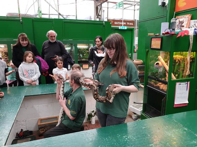 Volunteer Alex with Deputy Manager at Butterfly and Insect World