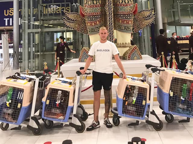 Mark and the four rescued pups about to embark on their adventure