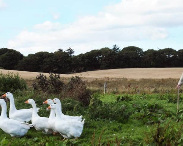 The late Molly Forbes was among the local resdents who opposed Donald Trump's Aberdeenshire golf resort development. Picture: Alicia Bruce