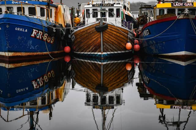 Boats tied up at Tarbert Harbour as much of the Scottish fleet is forced to stop fishing because of problems sending exports to the EU after Brexit (Picture: Jeff J Mitchell/Getty Images)