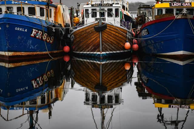 Boats tied up at Tarbert Harbour as much of the Scottish fleet is forced to stop fishing because of problems sending exports to the EU after Brexit (Picture: Jeff J Mitchell/Getty Images)