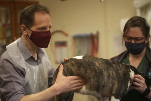 Examining a dog in the Thurso veterinary practice. Pic: Contributed