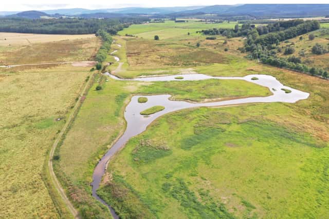 AFTER: Restoration work at Beltie burn, near Torphin in Aberdeenshire, has transformed the middle reaches of what was a degraded, artificially straightened agricultural stream into a rich complex of wetland habitats with the river snaking through it on a more natural course