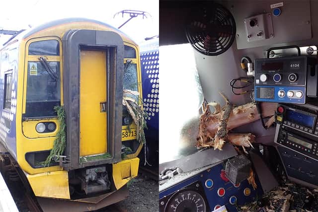 Parts of the tree branches which crashed into the train cab. Pictures: RAIB