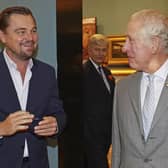 Prince Charles met Leonardo DiCaprio at the summit.