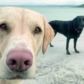 When you're screen sensations with 60 million views you need to get away from it all.