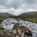 River Clunie on the Invercauld Estate showing tree enclosures and large woody structures in the foreground.