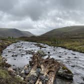 River Clunie on the Invercauld Estate showing tree enclosures and large woody structures in the foreground.