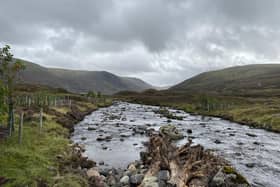 River Clunie on the Invercauld Estate showing tree enclosures and large woody structures in the foreground.