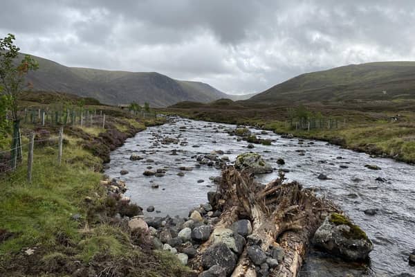 River Clunie on the Invercauld Estate showing tree enclosures and large woody structures in the foreground.