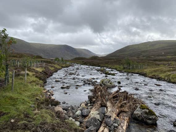 River Clunie on the Invercauld Estate showing tree enclosures and large woody structures in the foreground.