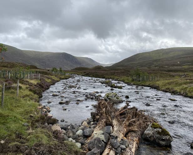 River Clunie on the Invercauld Estate showing tree enclosures and large woody structures in the foreground.